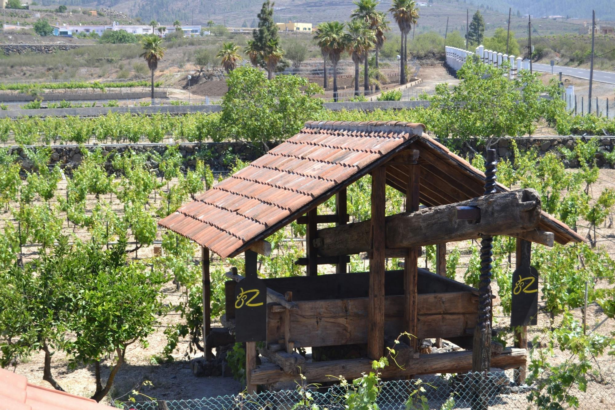 Southern Tenerife sightseeing tour with wine-tasting