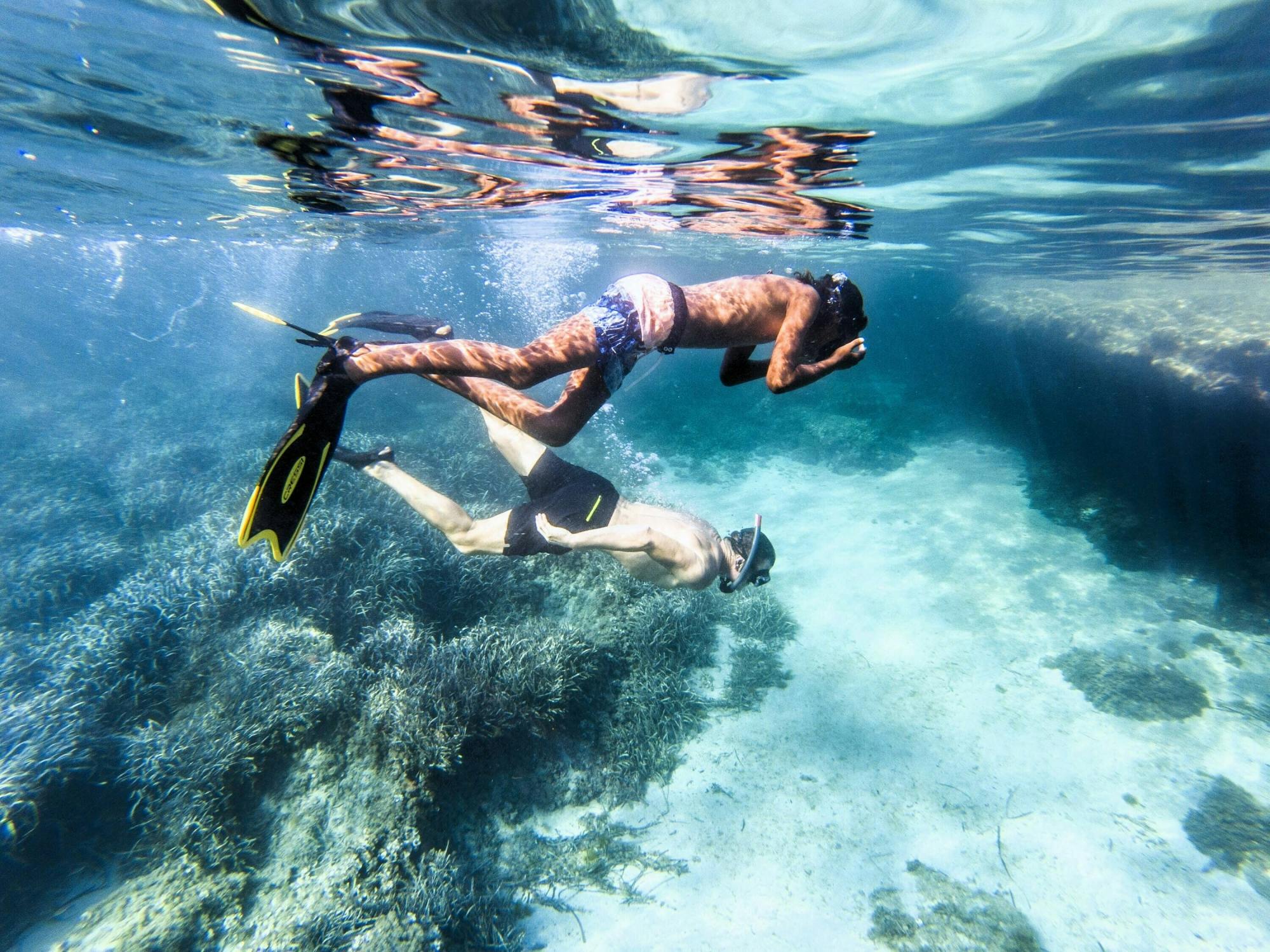 Nat Geo Day Tour: In the Wake of a Nat Geo Explorer, Kayak the Pristine Seas of Mallorca