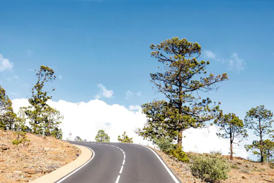 Sørlige Tenerife med sightseeing og vinsmaking