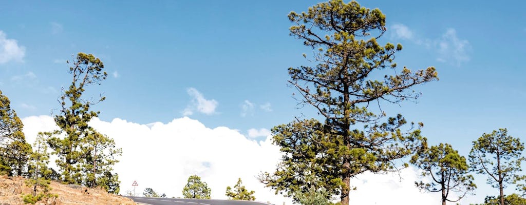 Southern Tenerife sightseeing tour with wine-tasting