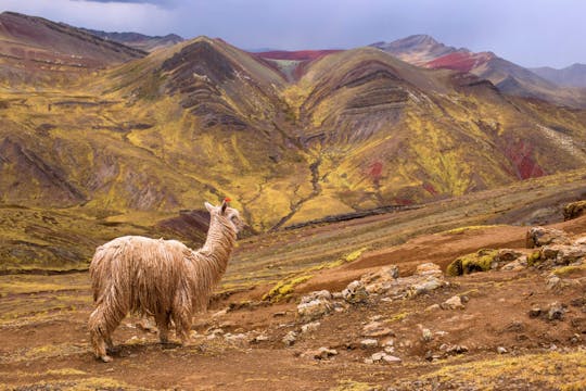 Full-Day Private Hike to Palcoyo Mountain