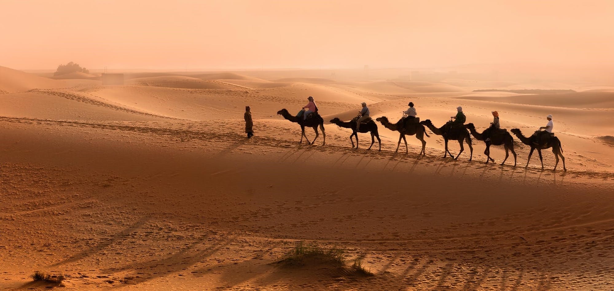 Viagem de meio dia ao Vale do Paraíso saindo de Agadir com passeio de camelo e almoço