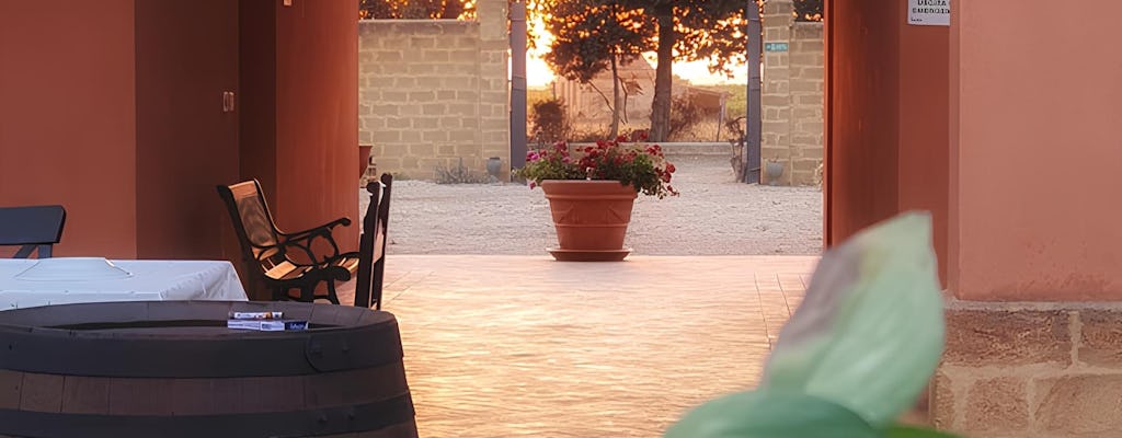 Colheita de uvas e café da manhã na vinícola em Menfi