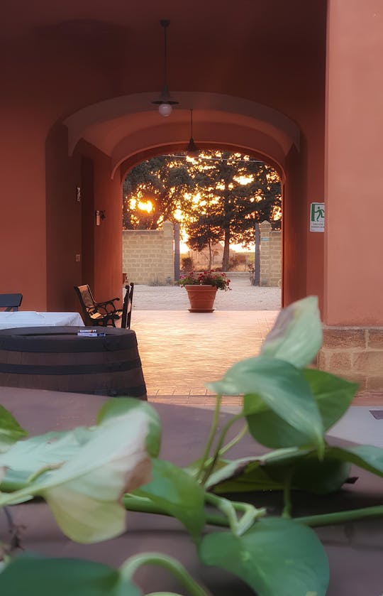 Vendimia y desayuno en la bodega de Menfi