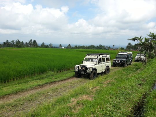 Sekret Bali Cultural Tour