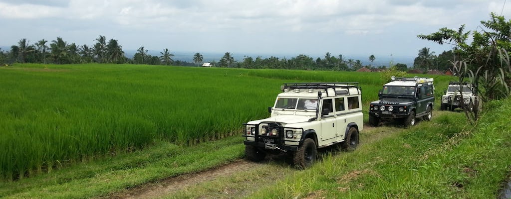 The Secret of Bali Cultural Tour