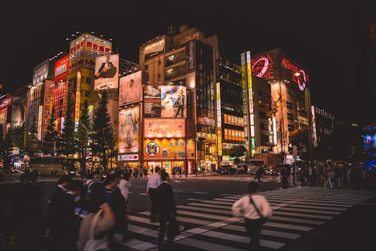 Tokyo Night Tour in Akihabara and Shibuya with Karaoke