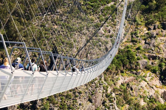 Excursión de un día al Puente de Arouca y a las pasarelas del Paiva desde Oporto