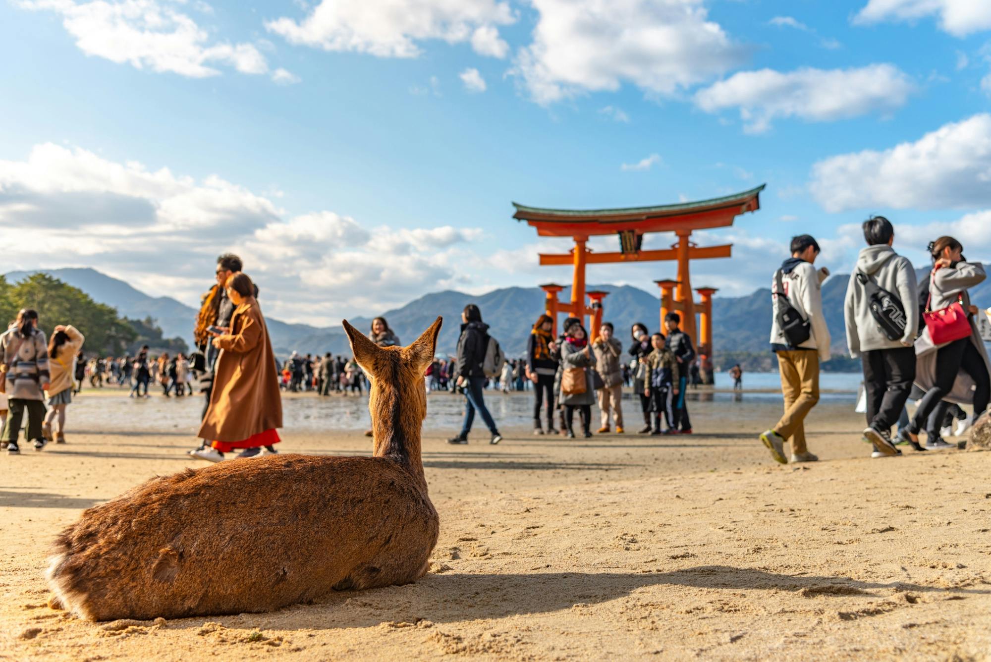 Ganztägige Tour nach Hiroshima und Miyajima mit Fährfahrt