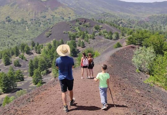 Randonnée privée sur l'Etna Nord et dégustation de vins avec déjeuner léger