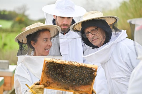 Central Azores guided tour and visit to an apiary