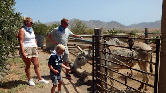 Buggy-Tour ab Caleta de Fuste ohne Transfer