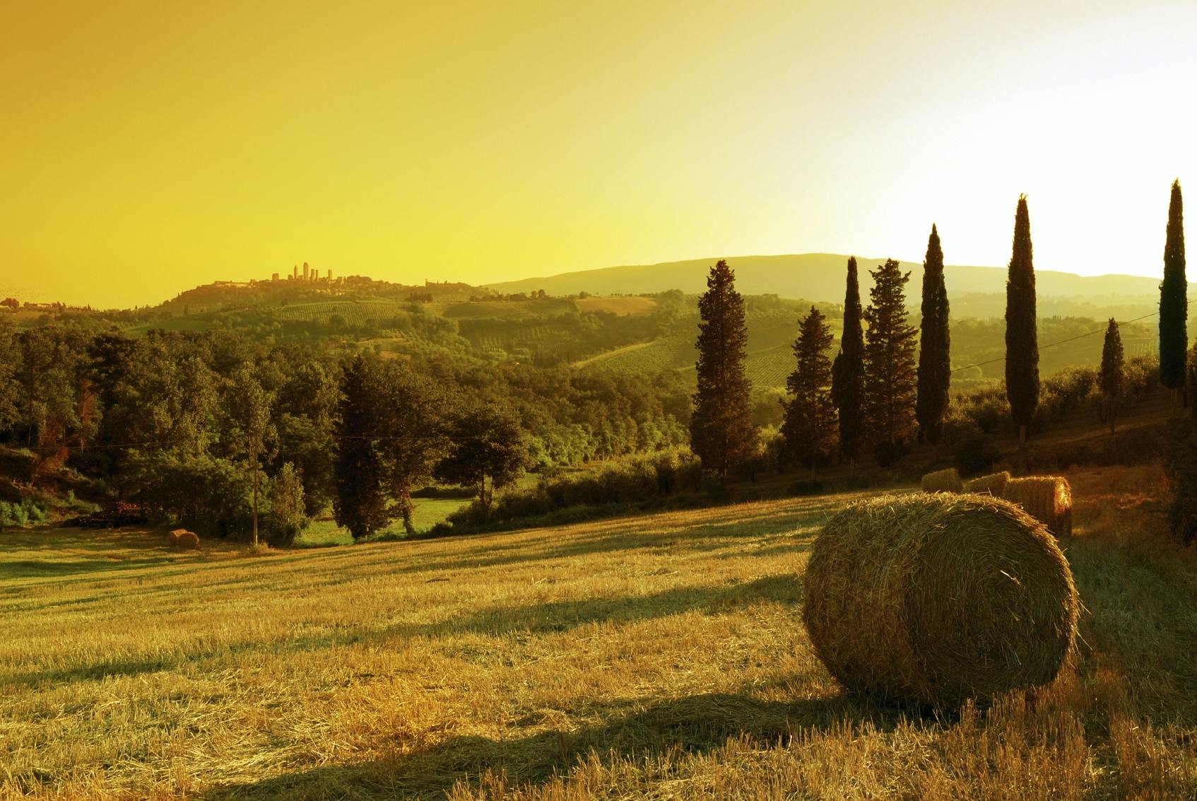 Sunset Wine Tour from Siena to Chianti with Dinner