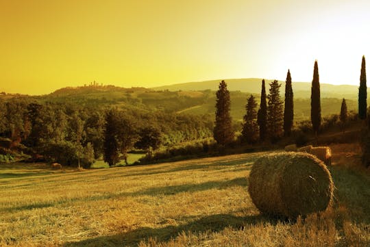 Zonsondergangwijntour van Siena naar Chianti met diner