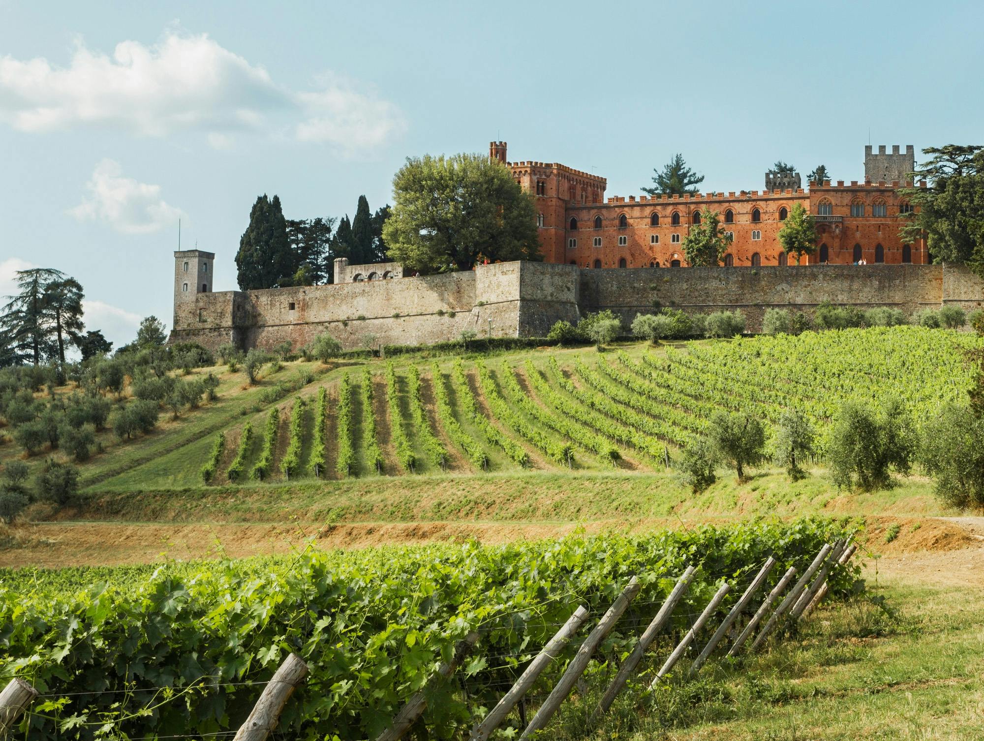 Chianti-wijntour voor kleine groepen vanuit Siena met lunch