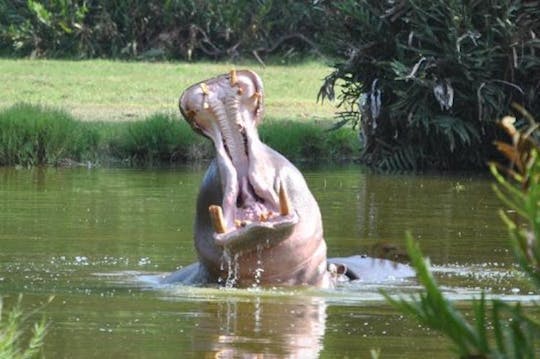 Parques temáticos en Mombasa: Entradas