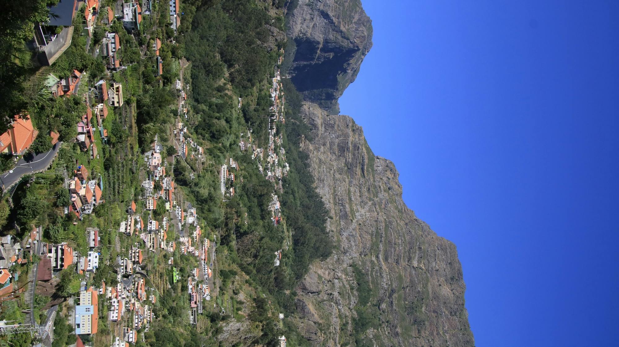 202501266796244e58725.JPG