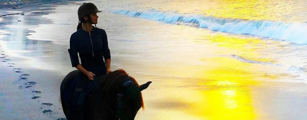 Bali horse riding experience and coffe plantation visit