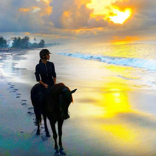 Expérience d'équitation à Bali et visite d'une plantation de café