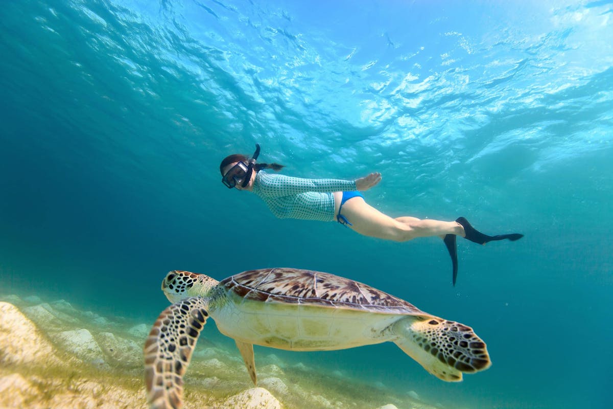 Bali Blue Lagoon snorkelexcursie met Tegenungan-waterval