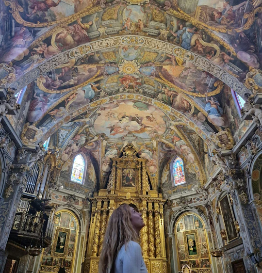 Valencia Italian tour with entry to La Lonja, Catedral and San Nicolás
