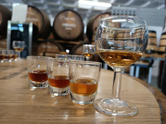Wine tour, tasting experience and skywalk 4x4 adventure