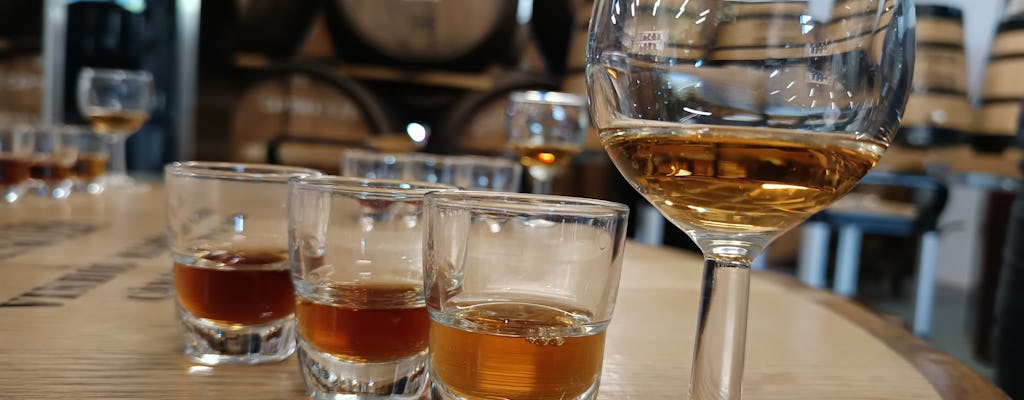 Tour del vino, degustazione e avventura in 4x4 sullo skywalk