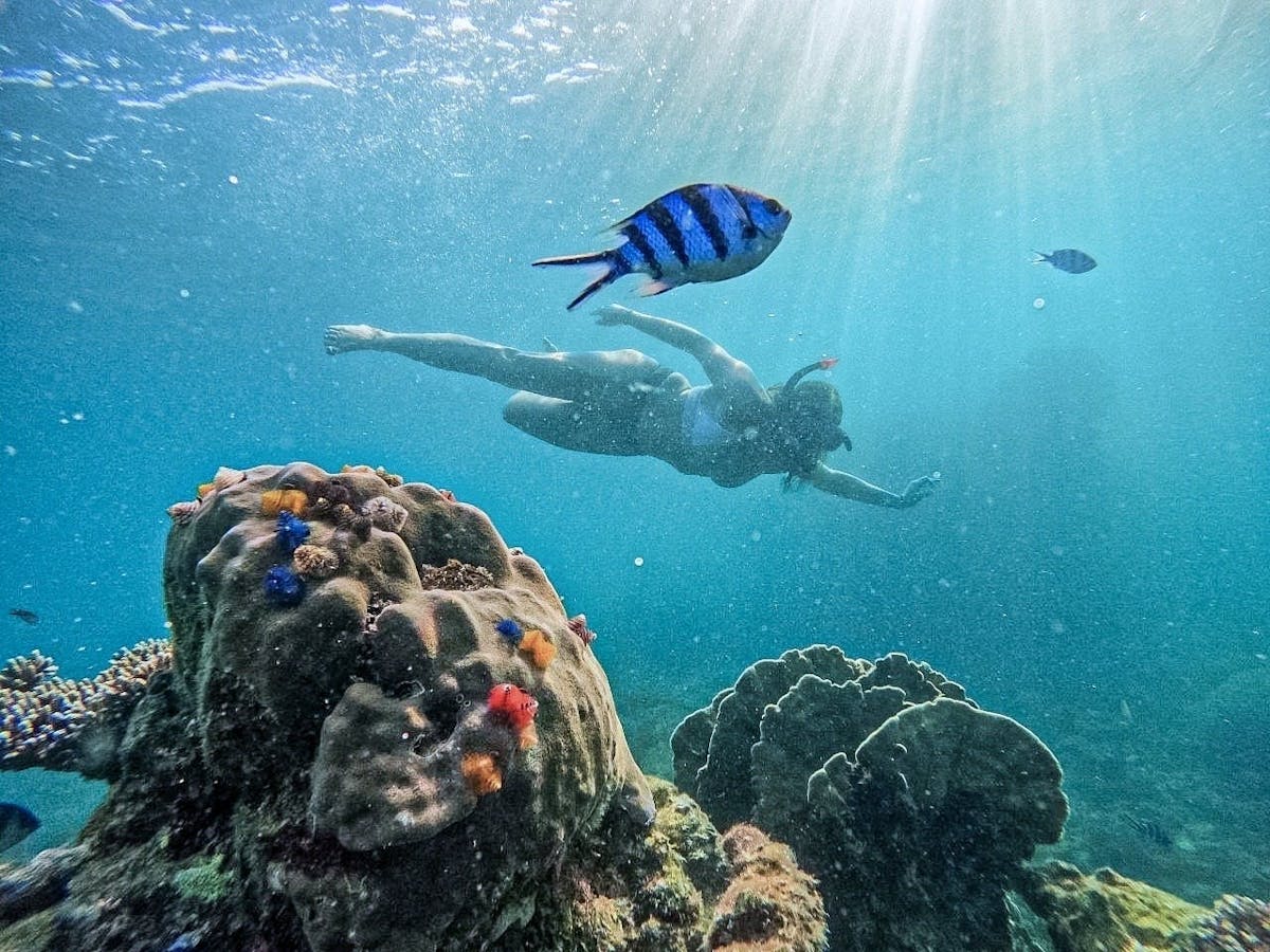 Koh Nangyuan en Hidden Bays-snorkeltocht met lunch vanuit Kho Tao