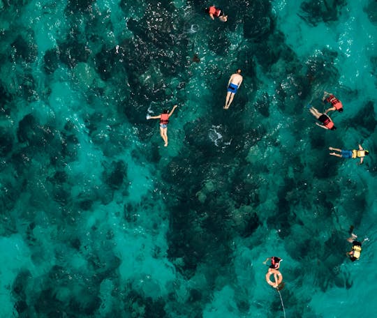 Aventura en lancha rápida desde Can Pastilla con snorkel