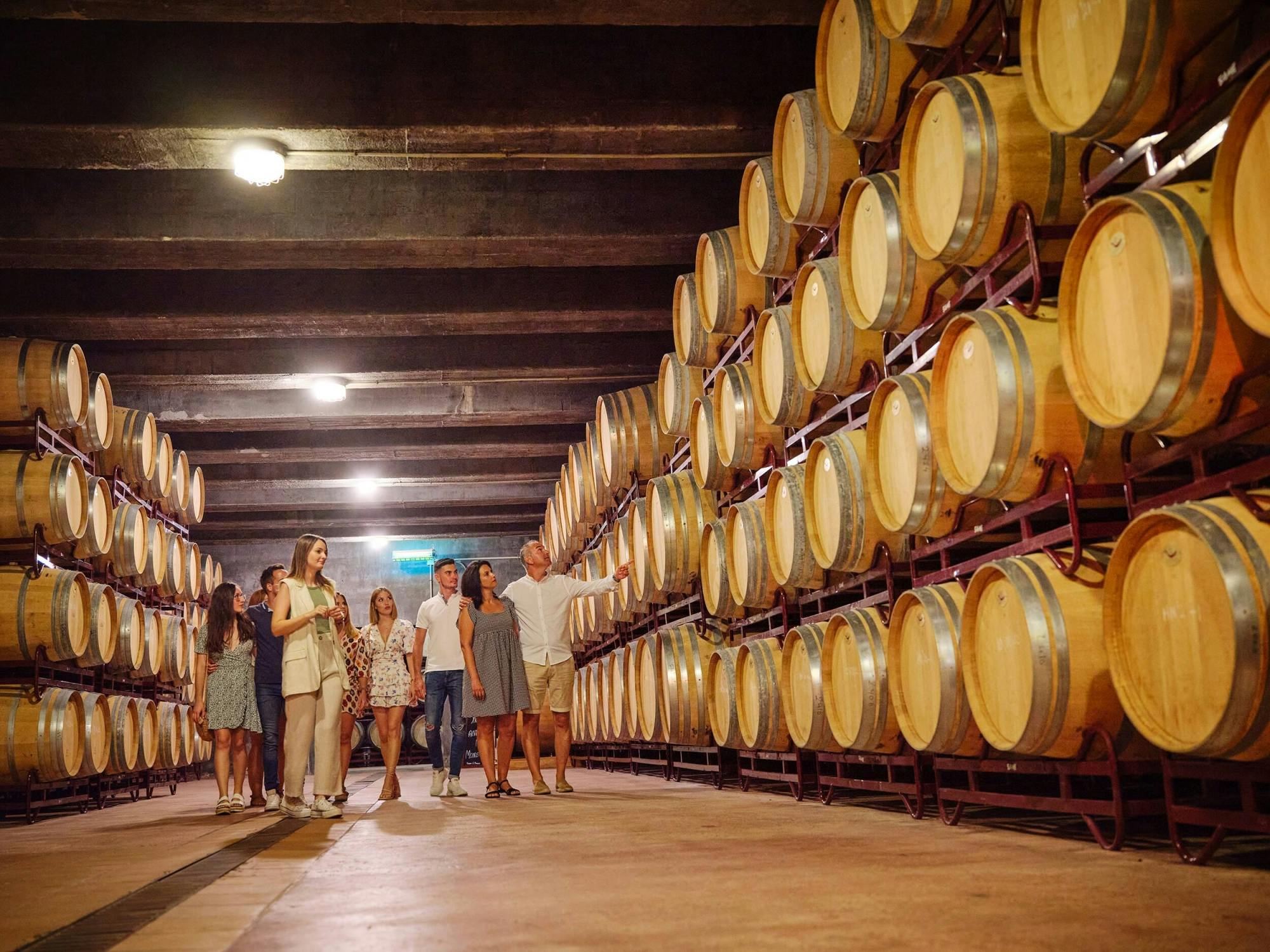 Mendoza Winery Tour and Tasting Ticket