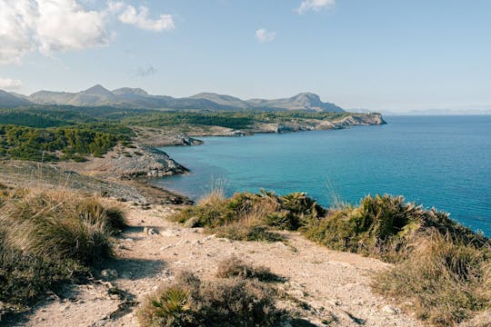 Geführte Wanderung entlang der mallorquinischen Küste von Cala Mesquida aus, mit Stopps am Strand und Mittagessen