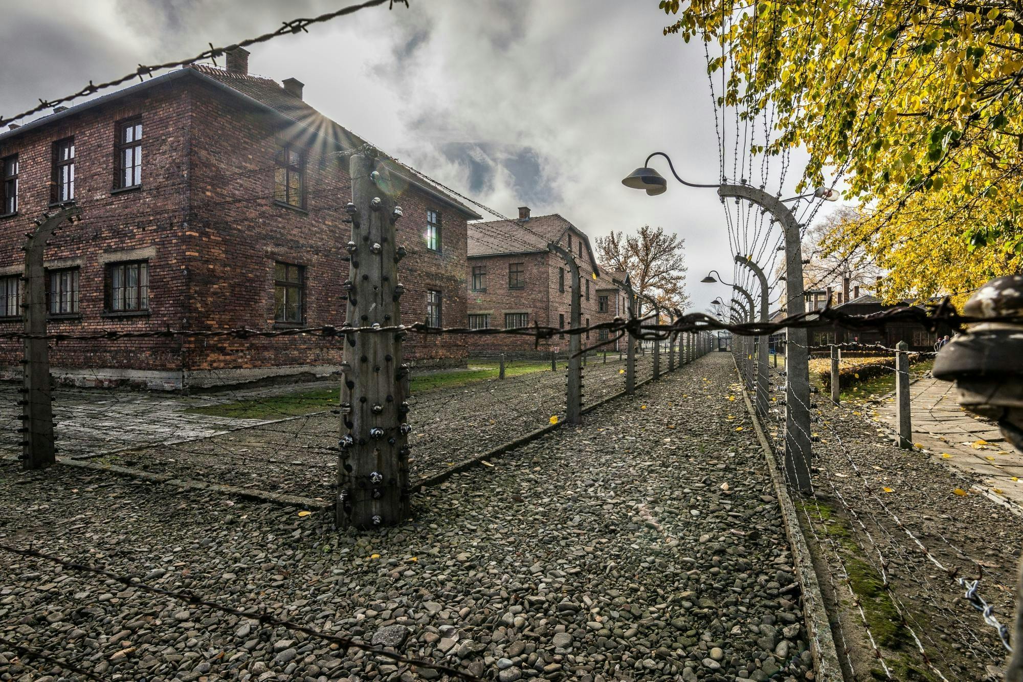 Auschwitz-Birkenau French Guided Tour with Hotel Pick-Up