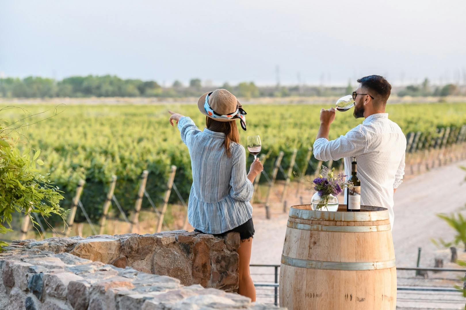 Recorrido por viñedos de Mendoza con cata de vinos