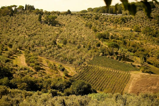 6-stündige E-Bike-Tour von Florenz nach Chianti mit Mittagessen und Verkostungen