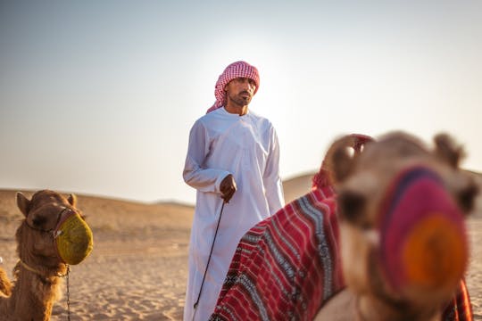 Safari de meio dia no deserto de Abu Dhabi