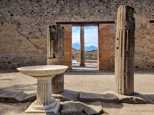 Pompeii and Mount Vesuvius Group Tour from Naples