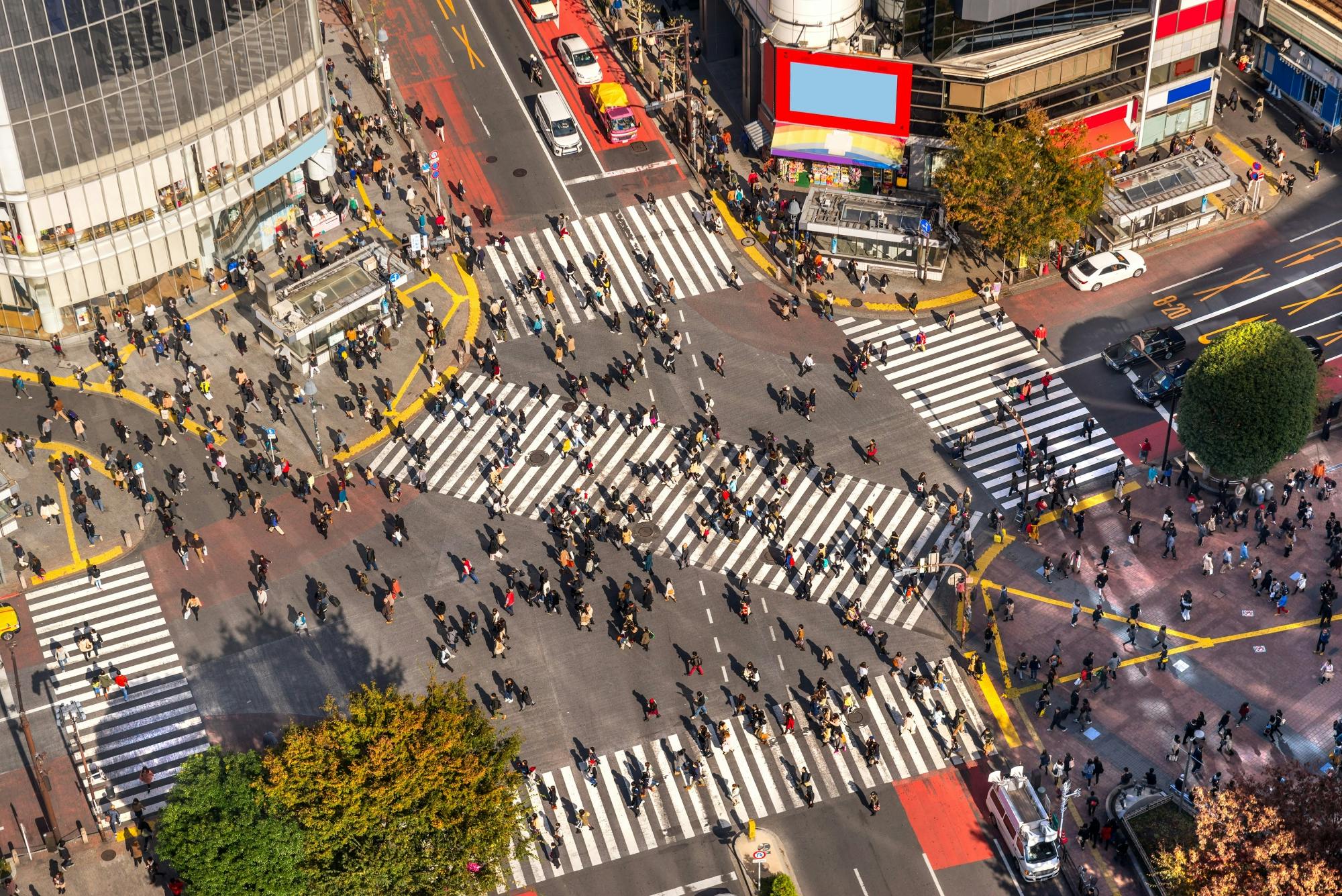 Geführte Bustour zum Meiji-Schrein, zum Kaiserpalast, nach Akihabara und Senso-ji