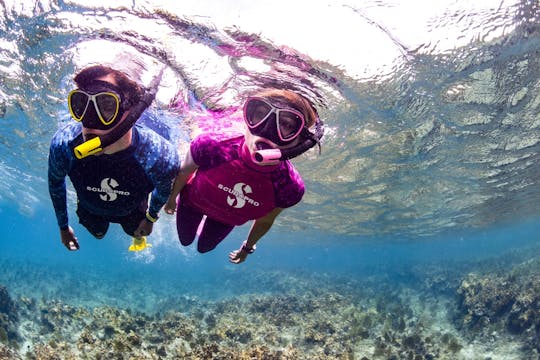 Excursión de snorkel en barco en Mallorca