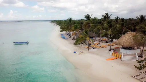 Catalina Island boat tour with snorkelling and Dominican lunch