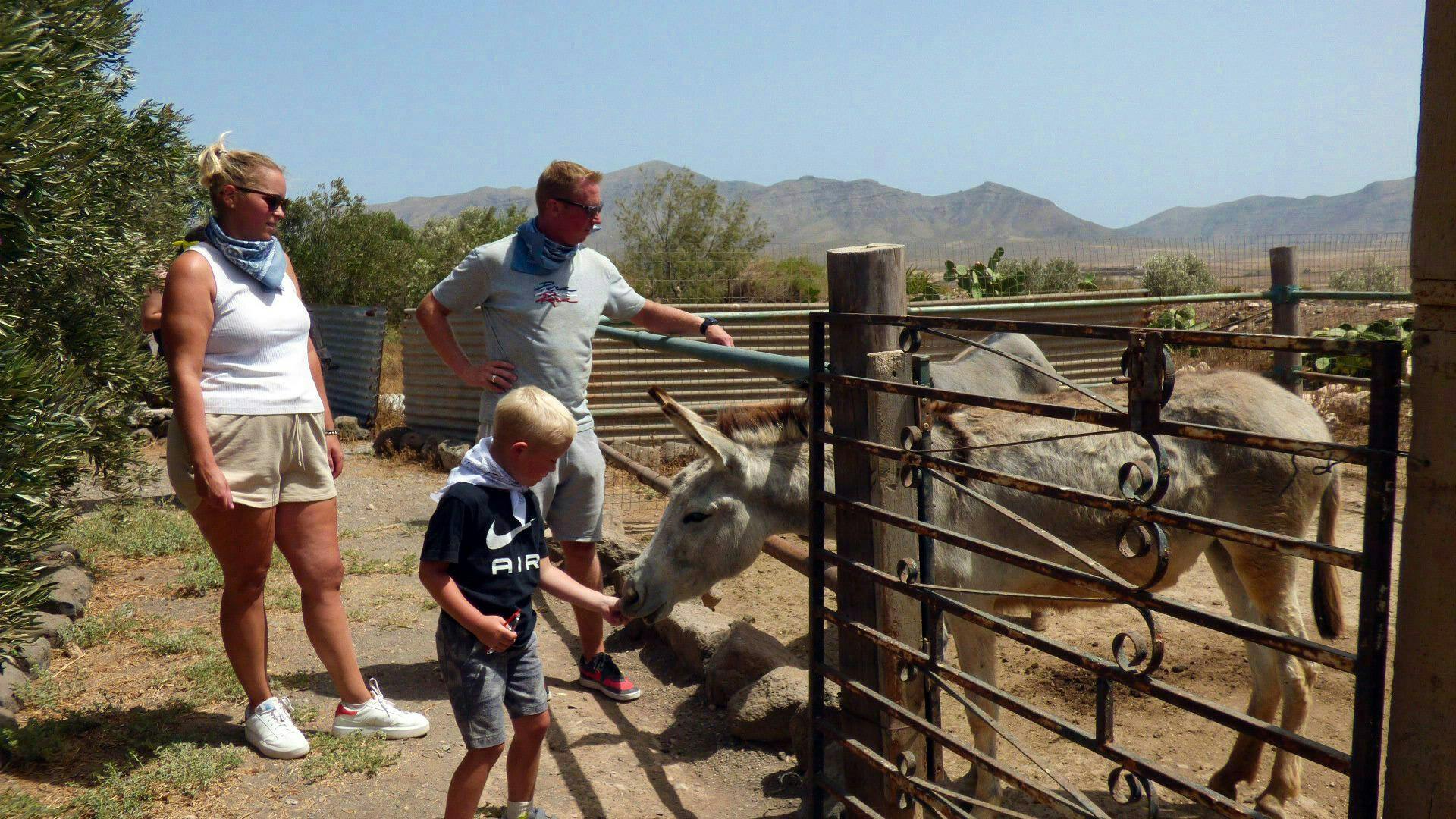 Half-day buggy tour from Caleta de Fuste in Fuerteventura