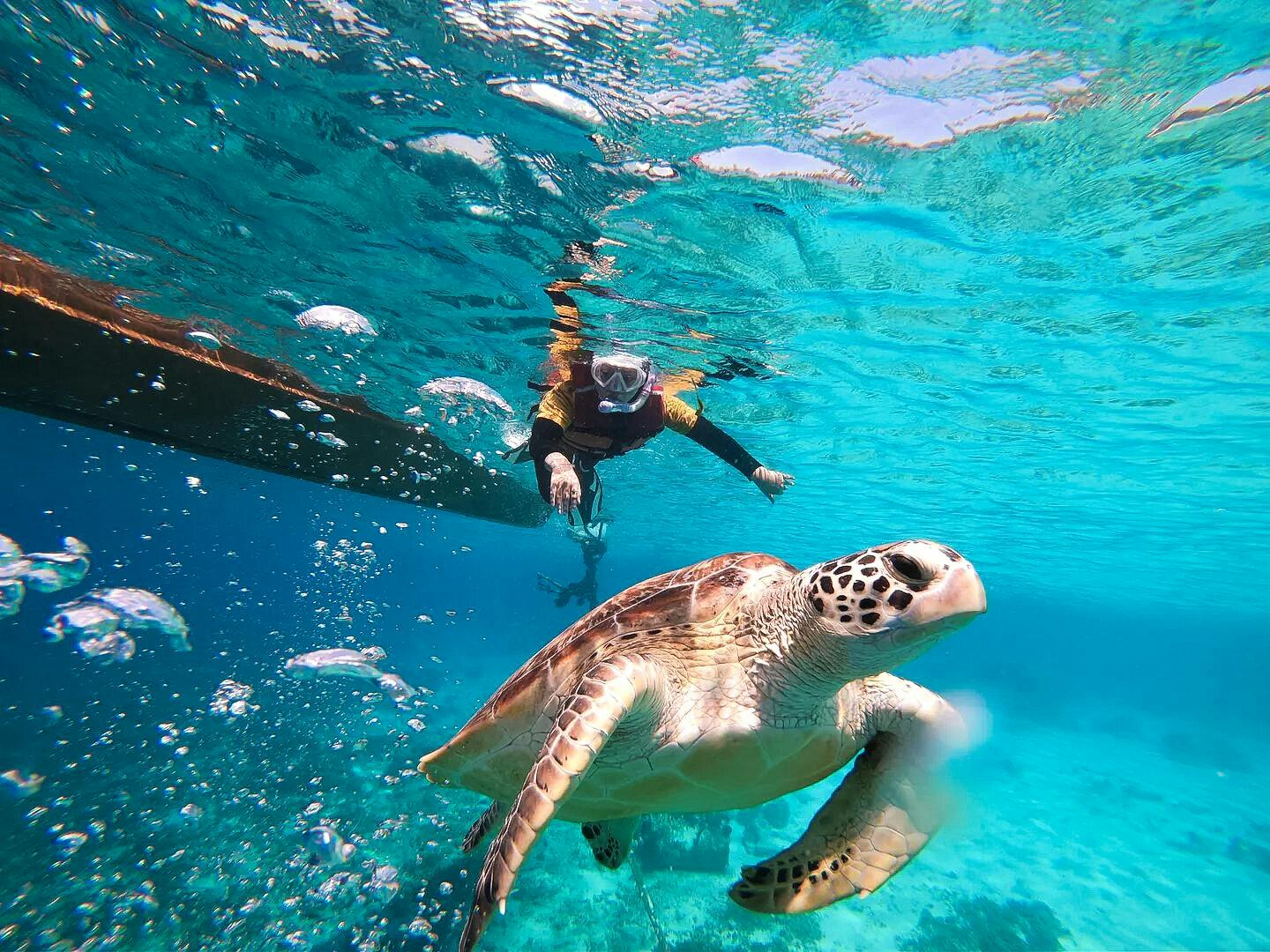 Excursão de mergulho com snorkel saindo de Gili Trawangan