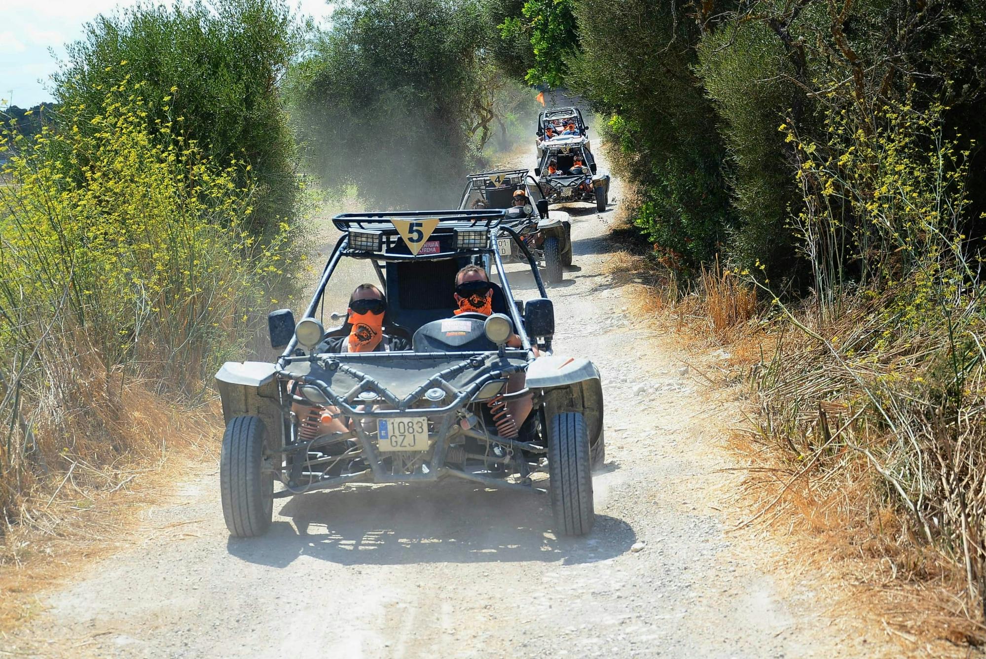 Majorca Dragon Buggy Tour