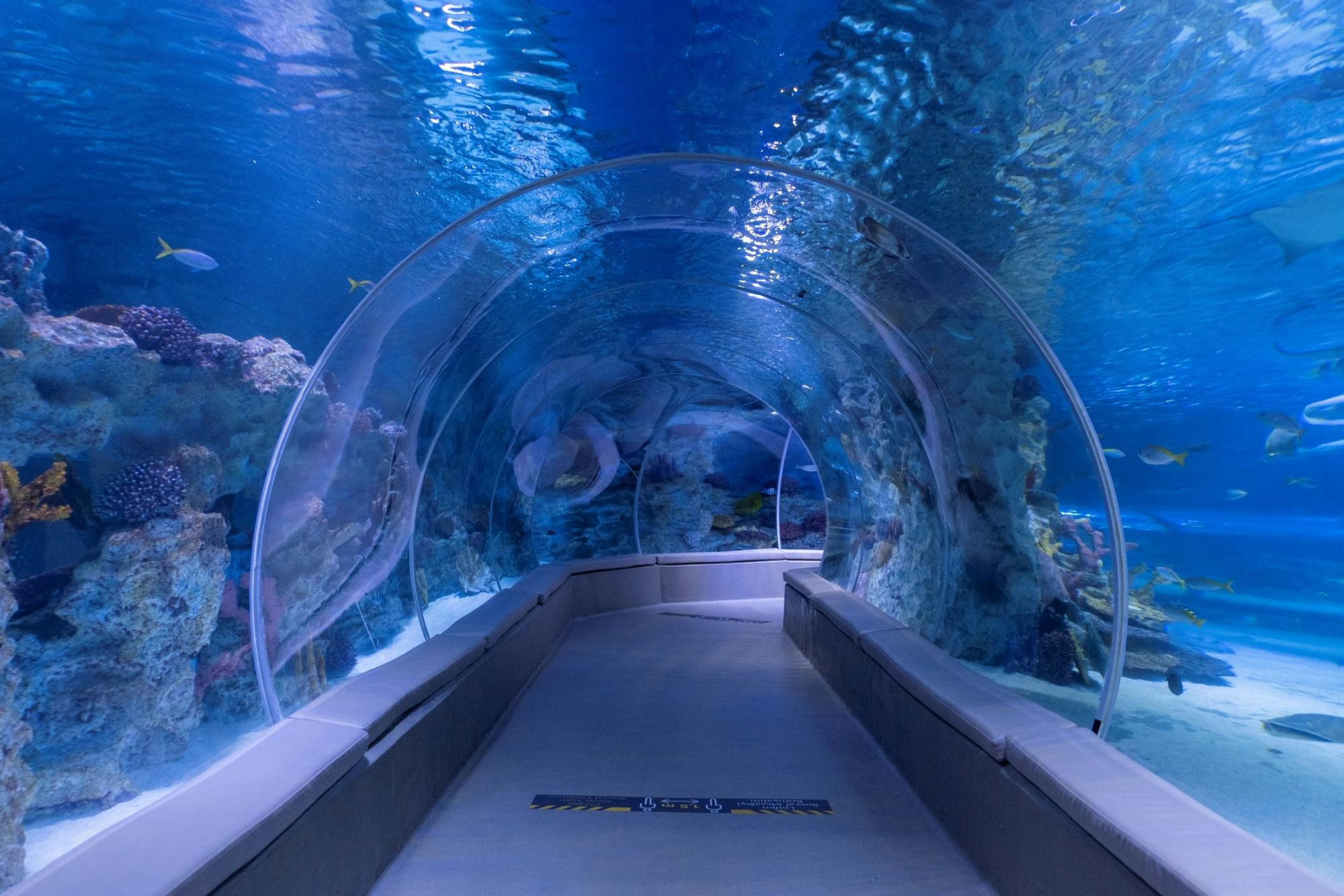 Istanbul Emaar Aquarium and Underwater Zoo with Optional SkyView