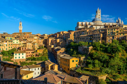 Guided Tour of Siena's Historical Centre and Cathedral