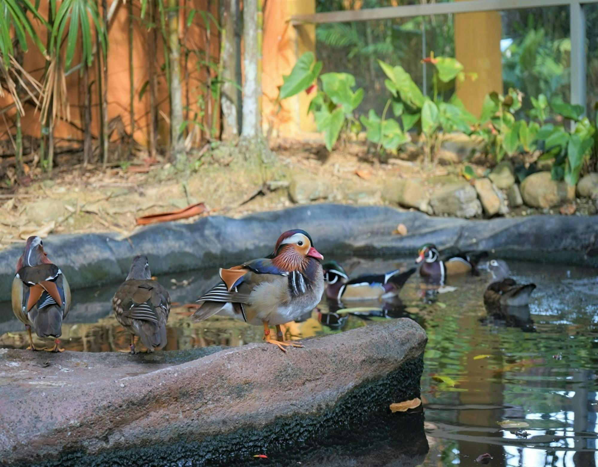 Toegangsbewijs voor Langkawi Wildlife Park