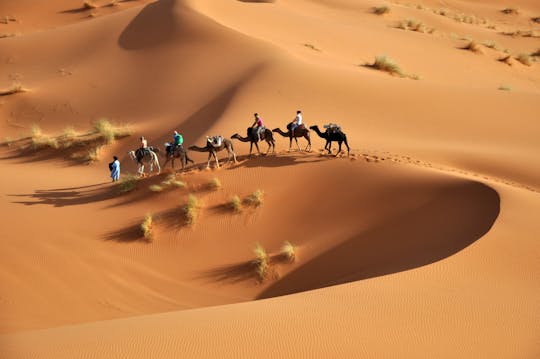 2-dniowa wycieczka po pustyni w Erg L'ihoudi Untouched Dunes