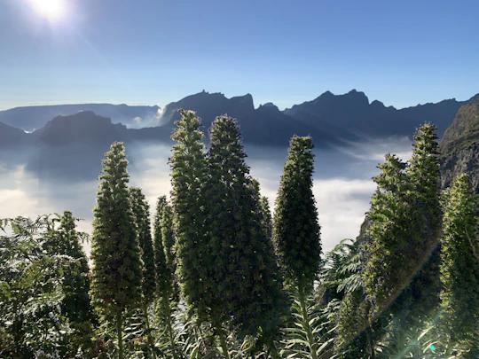 The enchanted east of Madeira's natural wonders 4x4 guided tour