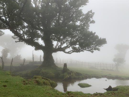 Madeira, el oeste no transitado: recorrido guiado en 4x4