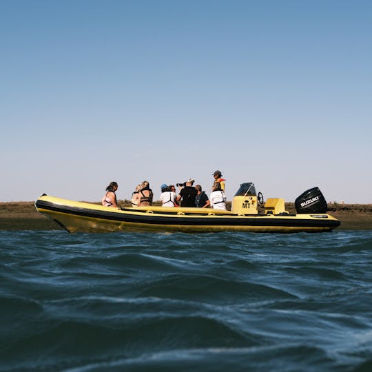 Ria Formosa: Geführte Öko-Bootstour mit einem Meeresbiologen