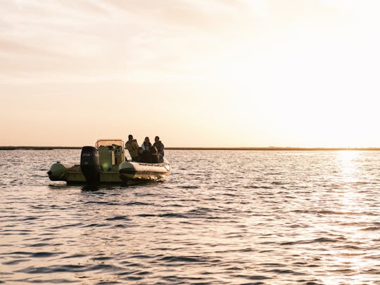 Passeio de barco ao pôr do sol na Ria Formosa com um biólogo marinho